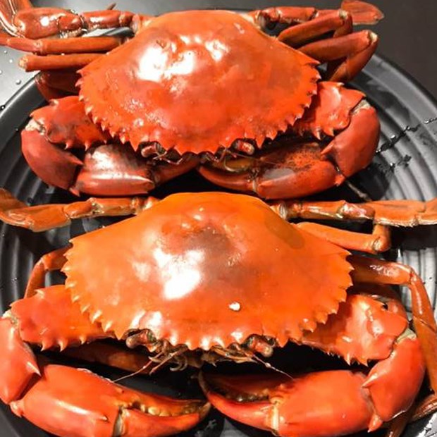 Bí Quyết Chọn Cua Gạch Tươi Ngon, Nhiều Gạch