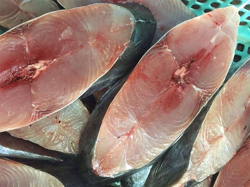 Bí Quyết Sơ Chế Cá Thu Không Tanh – Vấn Đề Quan Trọng Nhất