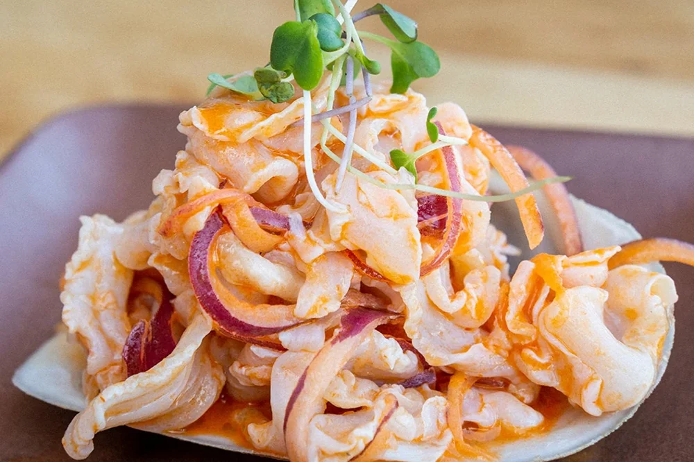 Các Món Ngon Từ Ốc Vòi Voi