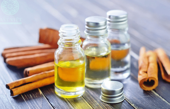 Các Phương Pháp Nấu Tinh Dầu Quế Đơn Giản Tại Nhà