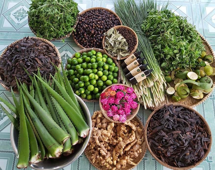 Cách Nấu Dầu Gội Bồ Kết Cô Đặc
