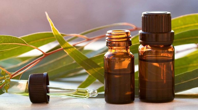 Dầu Tràm Là Gì và Vì Sao Nên Tự Nấu Tại Nhà?