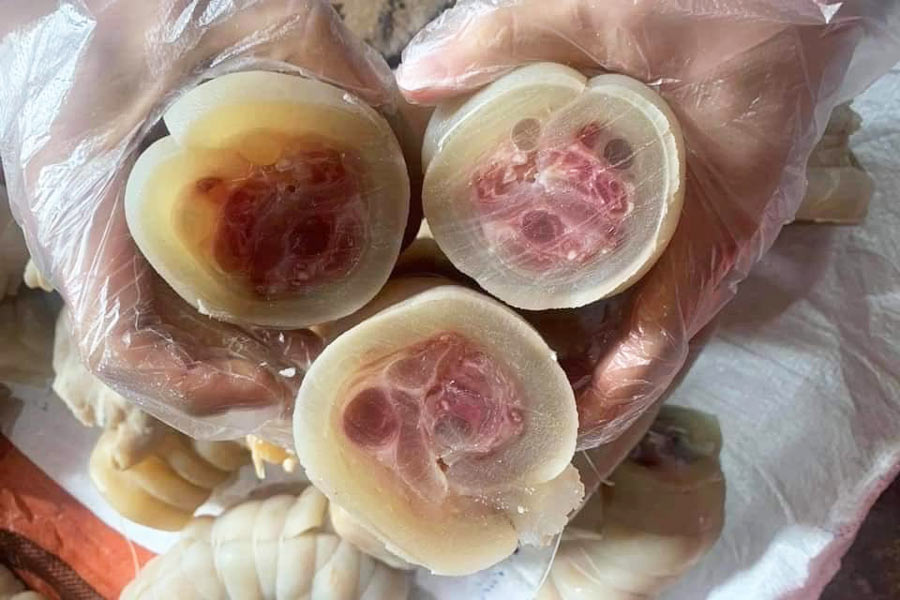 Cách Nấu Gân Bò Nhanh Mềm Bí Quyết Từ A Đến Z