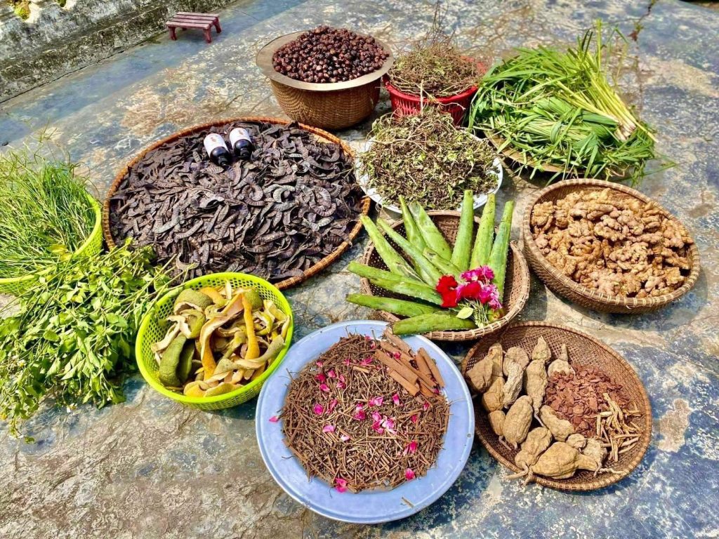 Chuẩn Bị Nguyên Liệu – Nền Tảng Của Dầu Gội Bồ Kết Chất Lượng