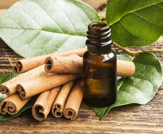 Công Dụng Tuyệt Vời Của Tinh Dầu Quế Tự Làm