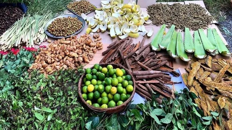 Hướng Dẫn Chi Tiết Cách Nấu Dầu Gội Bồ Kết Cô Đặc