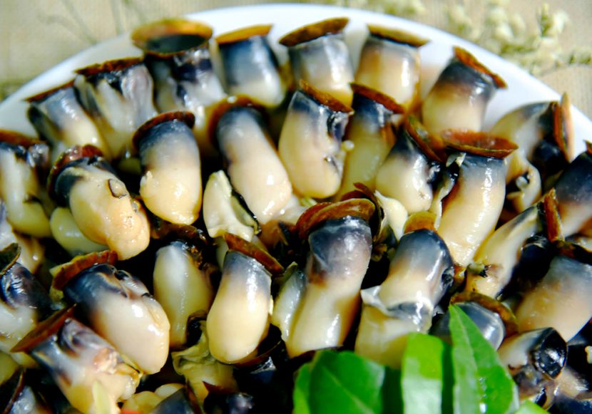 Món Ngon Từ Hàu Điếu