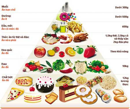Thực Trạng Dinh Dưỡng Của Trẻ Em Tiểu Học Hiện Nay